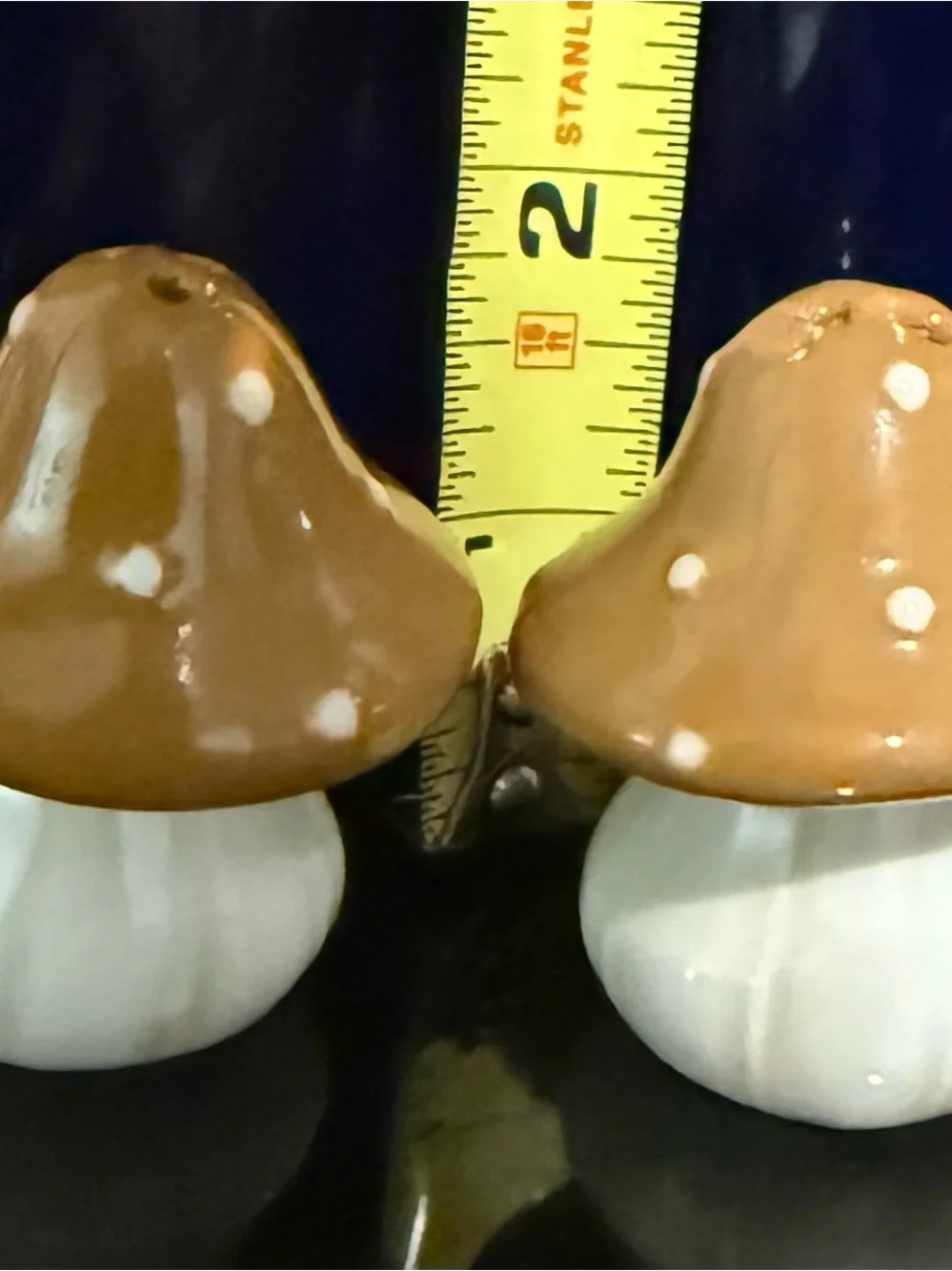 Mini mushroom salt and pepper shakers super cute nwt